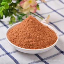 100% Natural Organic Water Soluble Papaya Fruit Powder Papain Enzyme